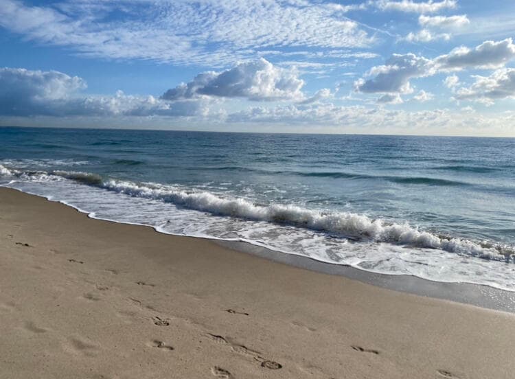 1480 S Ocean Boulevard 111, Lauderdale-By-The-Sea, FL 33062 — photo 15 of 22