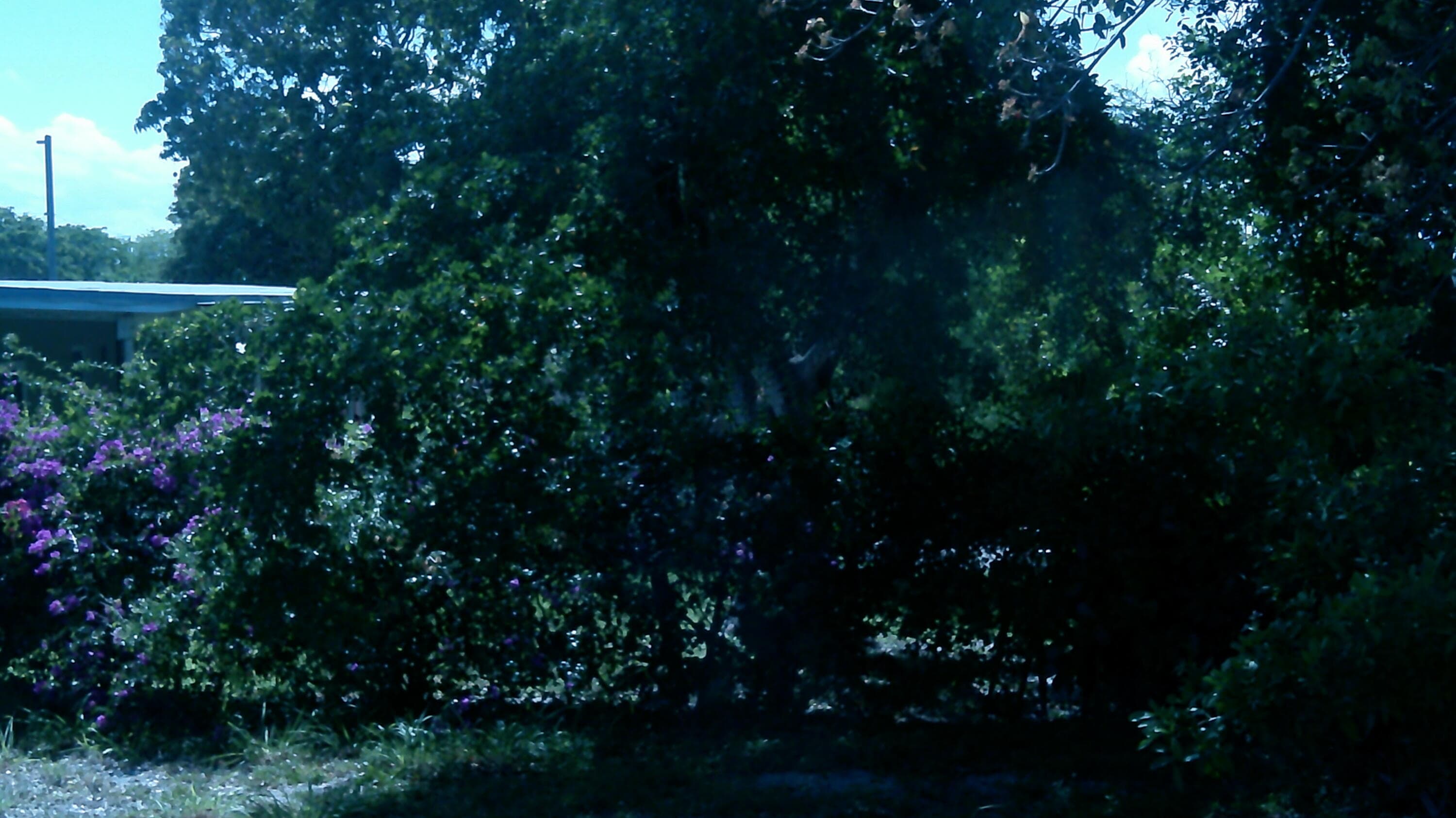 900 W 9th Street, Riviera Beach, FL 33404 — photo 8 of 30