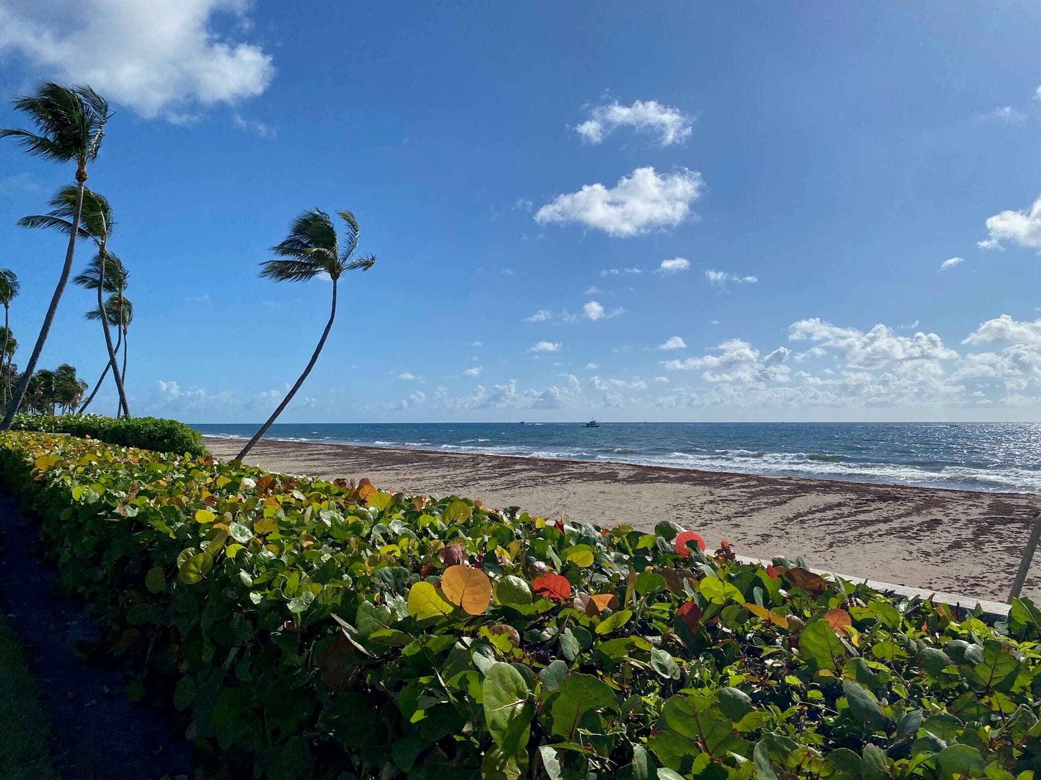 109 Via Vizcaya, Palm Beach, FL 33480 — photo 7 of 11