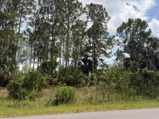172 SW Lamar St Street, Palm Bay, FL 32908 — photo 5 of 9