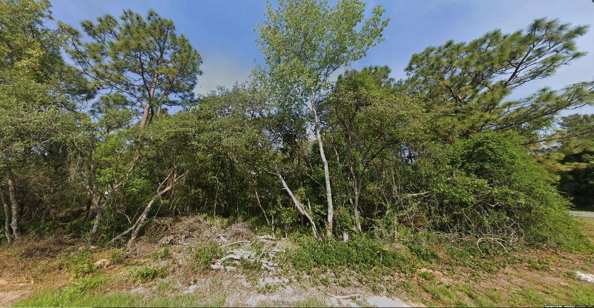 00 SW 133 Loop, Ocala, FL 34473 — photo 7 of 10