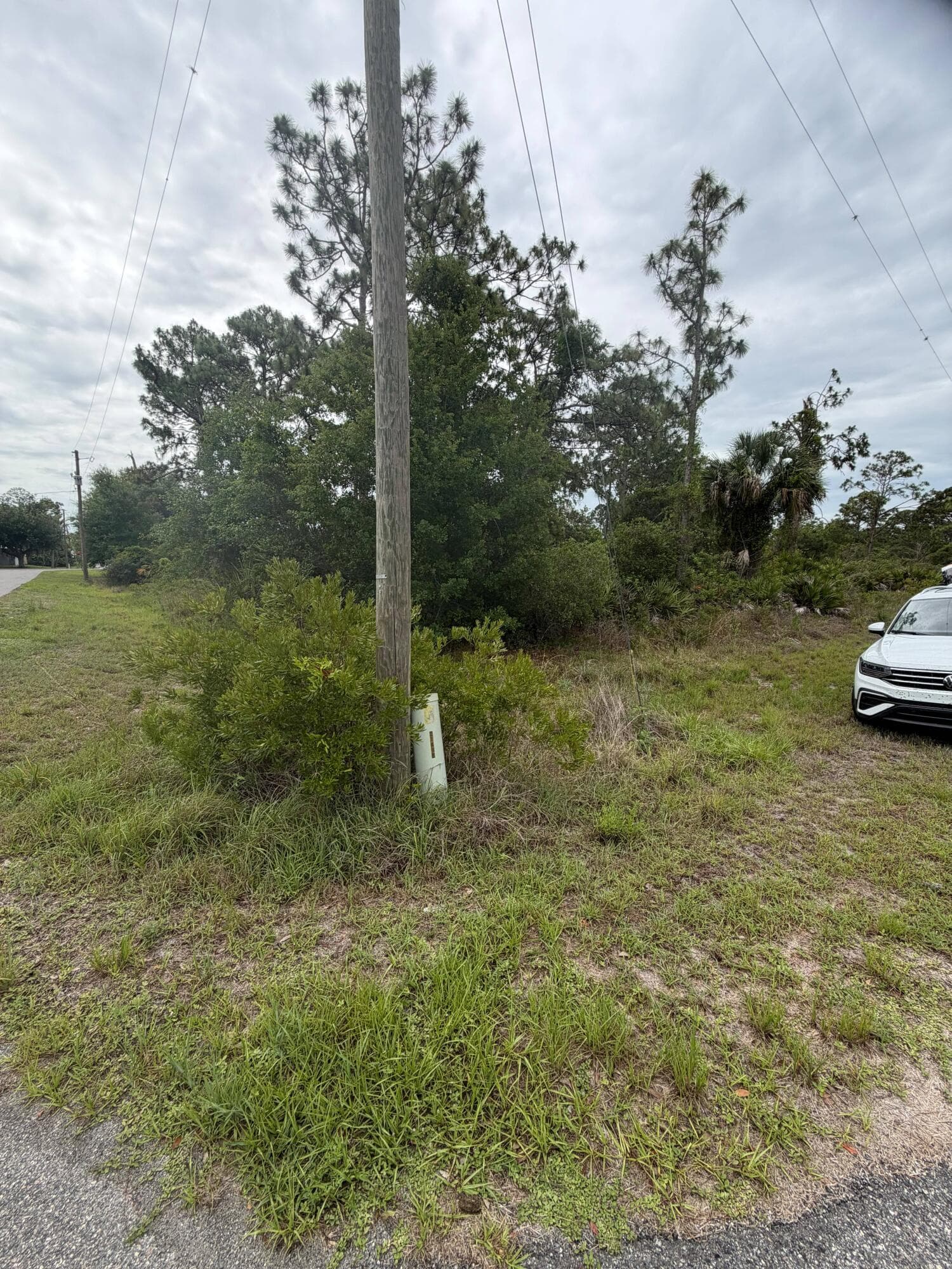 1170 Kingfisher Avenue NW, Lake Placid, FL 33852 — photo 2 of 8