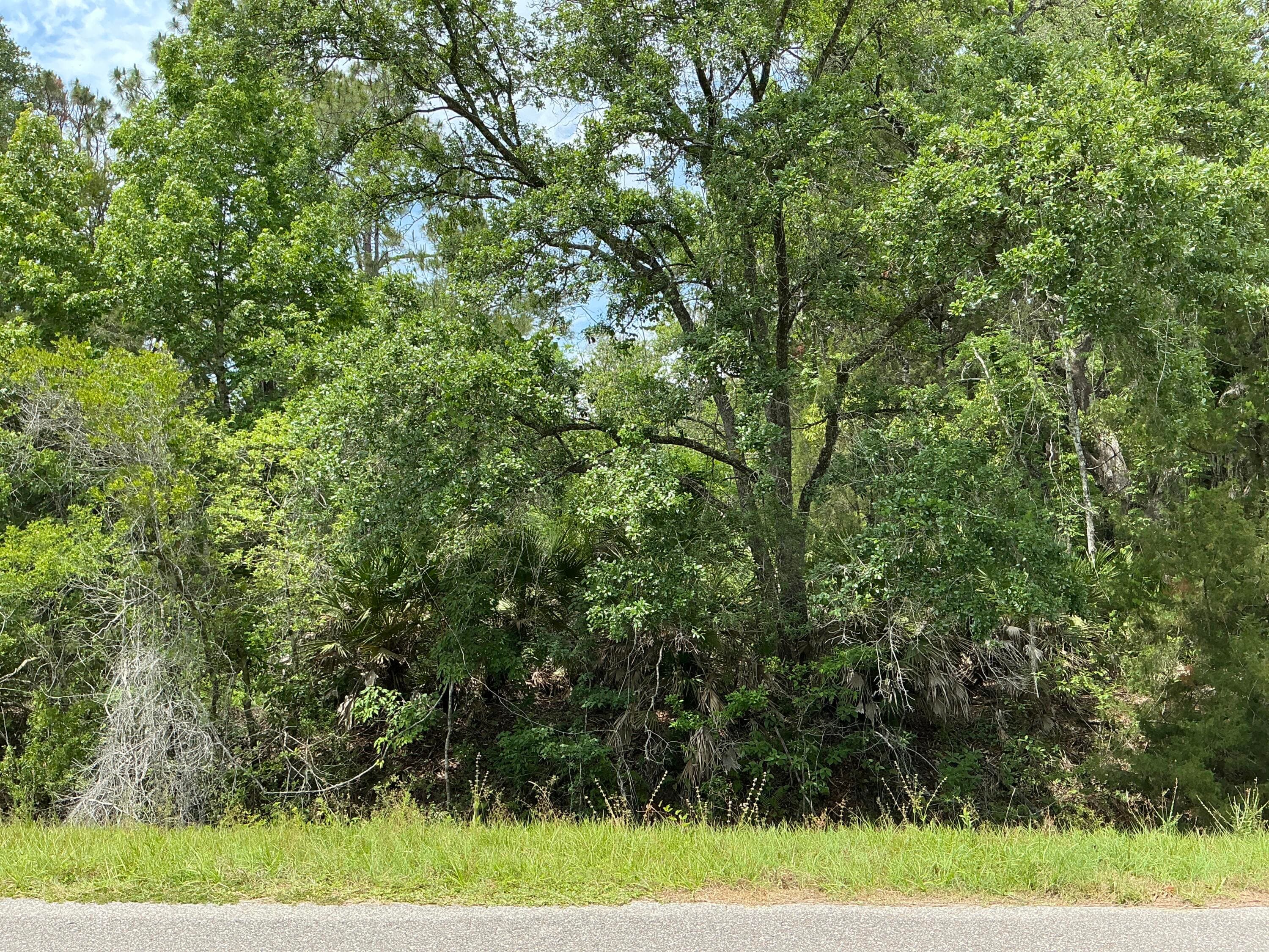 5020 Stephen Street, Hastings, FL 32145 — photo