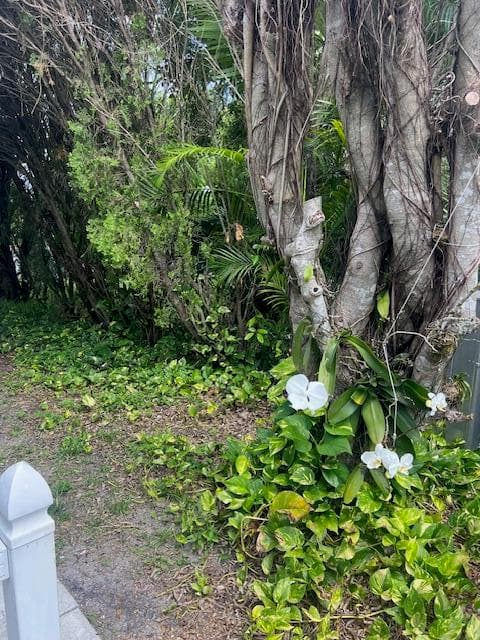 3503 NW 64th Court, Coconut Creek, FL 33073 — photo 5 of 26