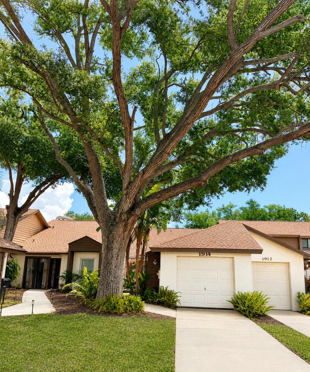1914 Bayshore Court, Safety Harbor, FL 34695 — photo 1 of 23