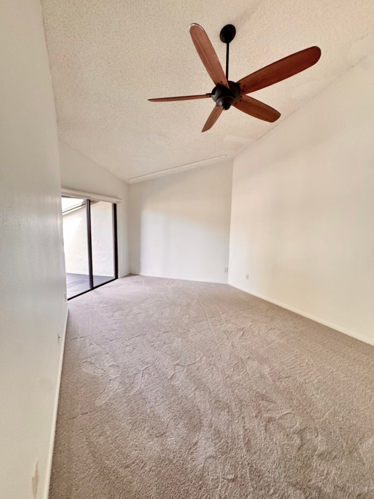 1914 Bayshore Court, Safety Harbor, FL 34695 — photo 16 of 23