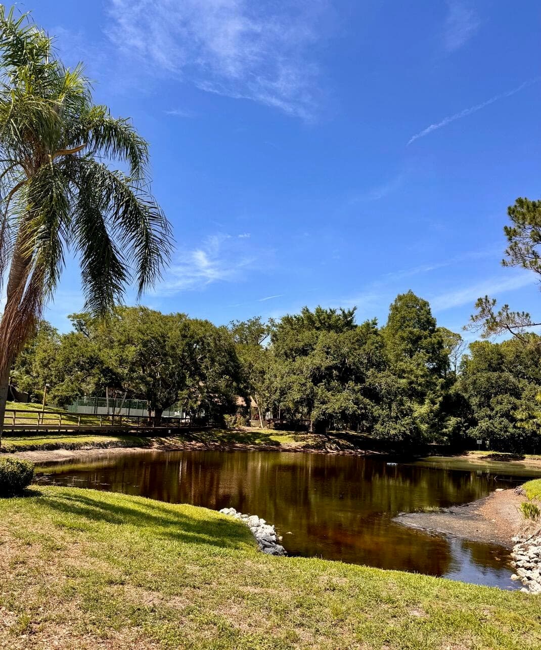 1914 Bayshore Court, Safety Harbor, FL 34695 — photo 22 of 23