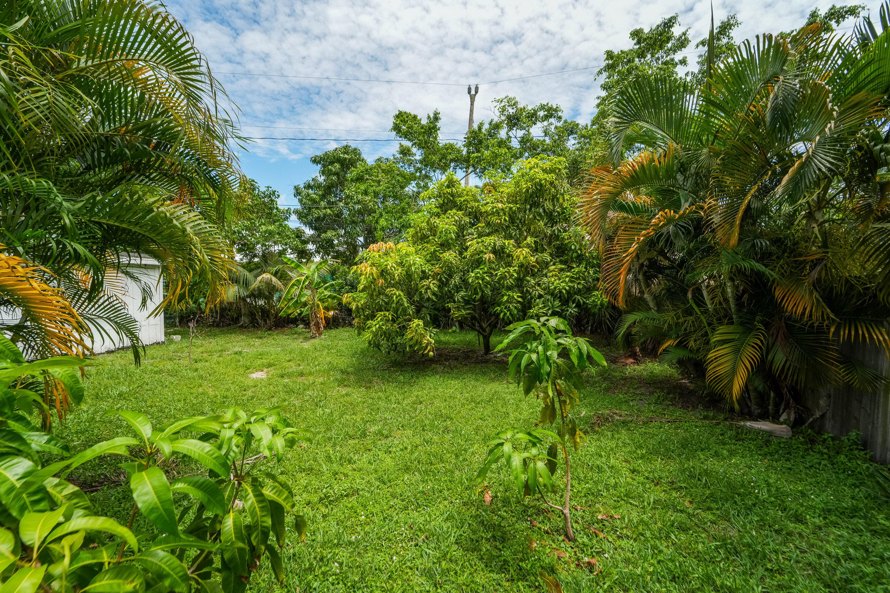 1007 Charles Street, West Palm Beach, FL 33401 — photo 11 of 37