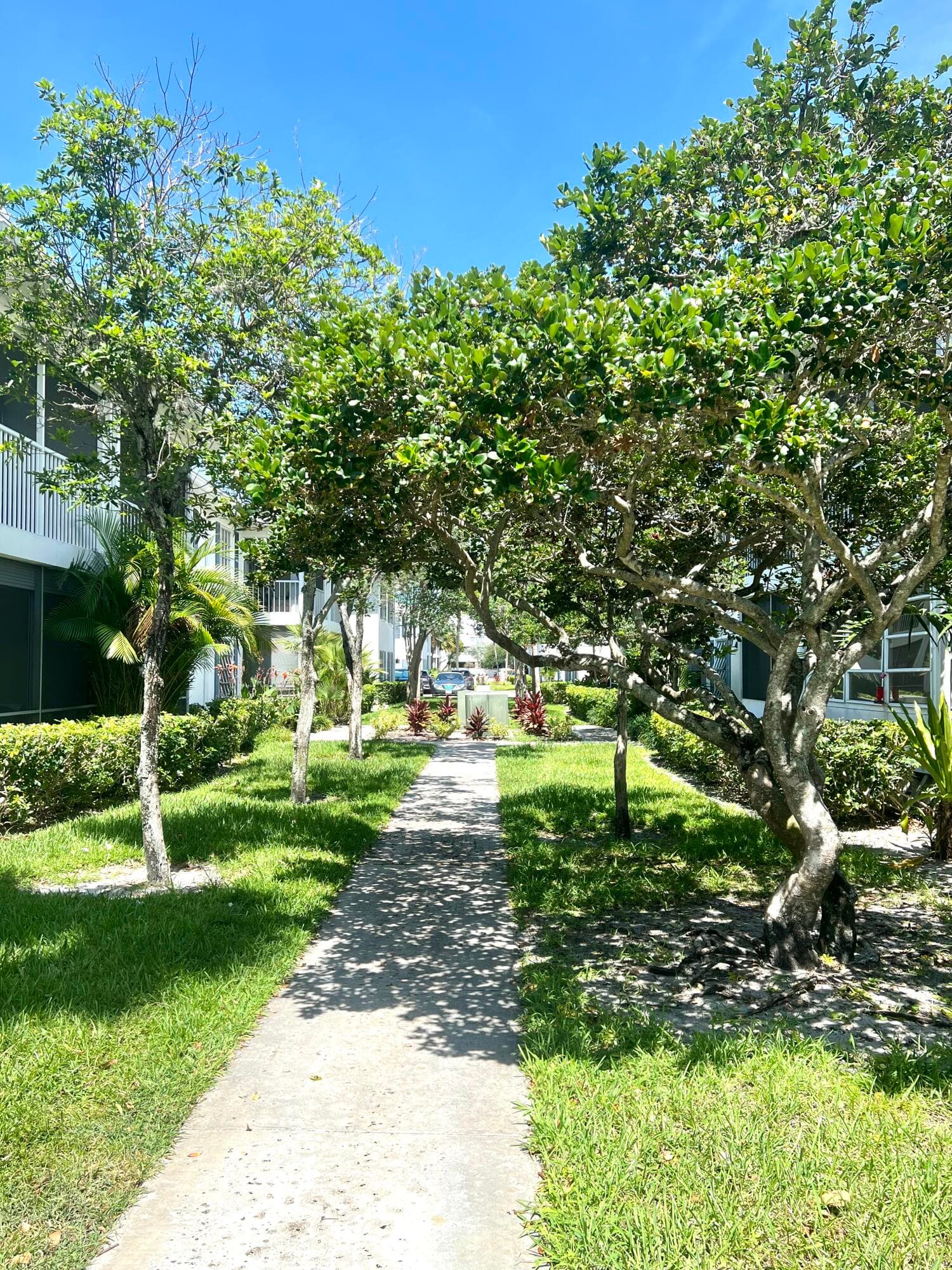 2201 NE 66th Street 1306, Fort Lauderdale, FL 33308 — photo 19 of 34