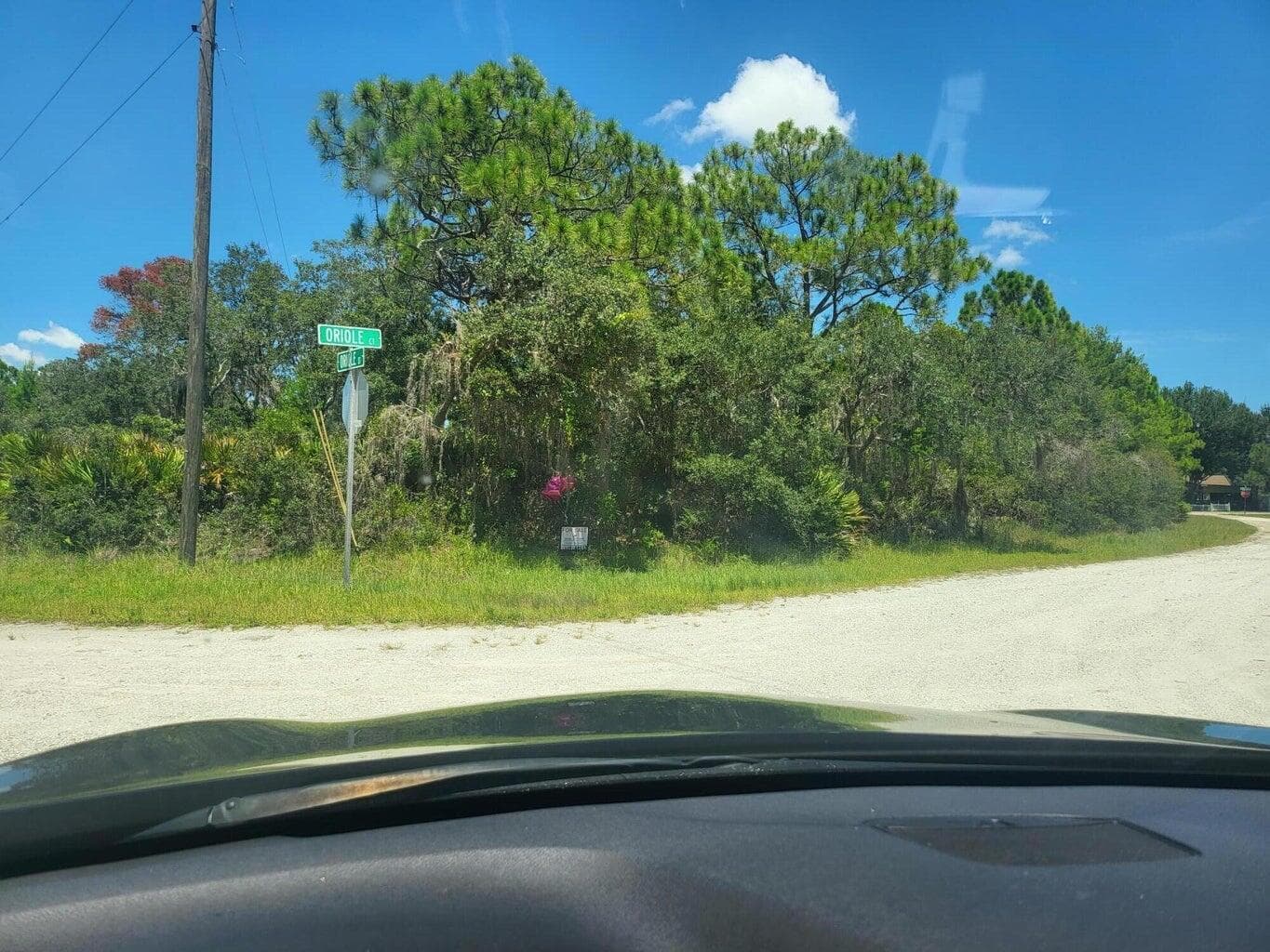 3249 Oriole Court, Lake Placid, FL 33852 — photo 2 of 4