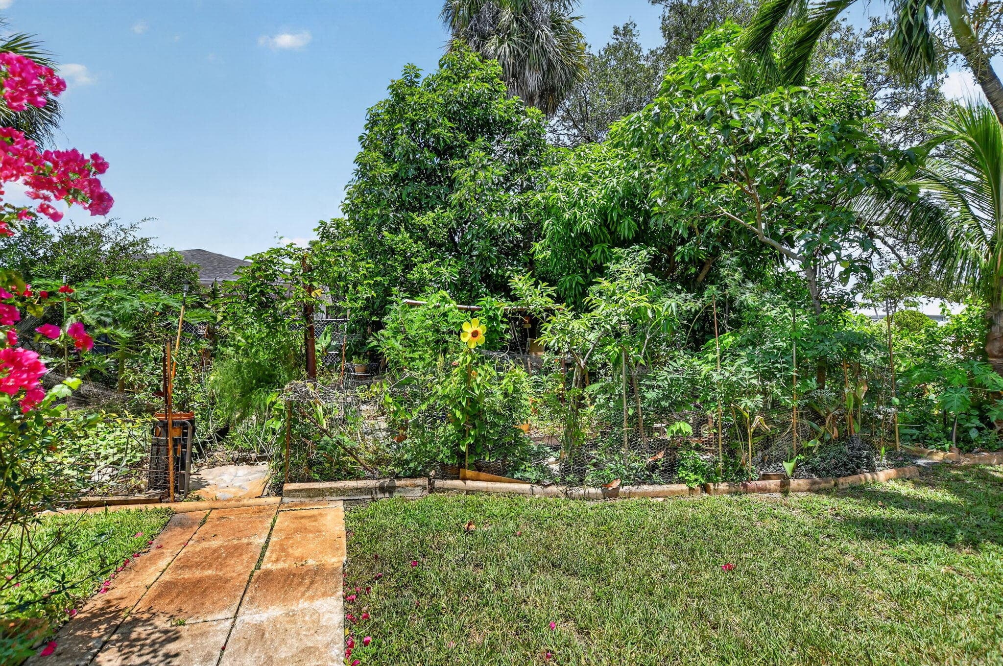 459 NE 1st Avenue, Deerfield Beach, FL 33441 — photo 52 of 54