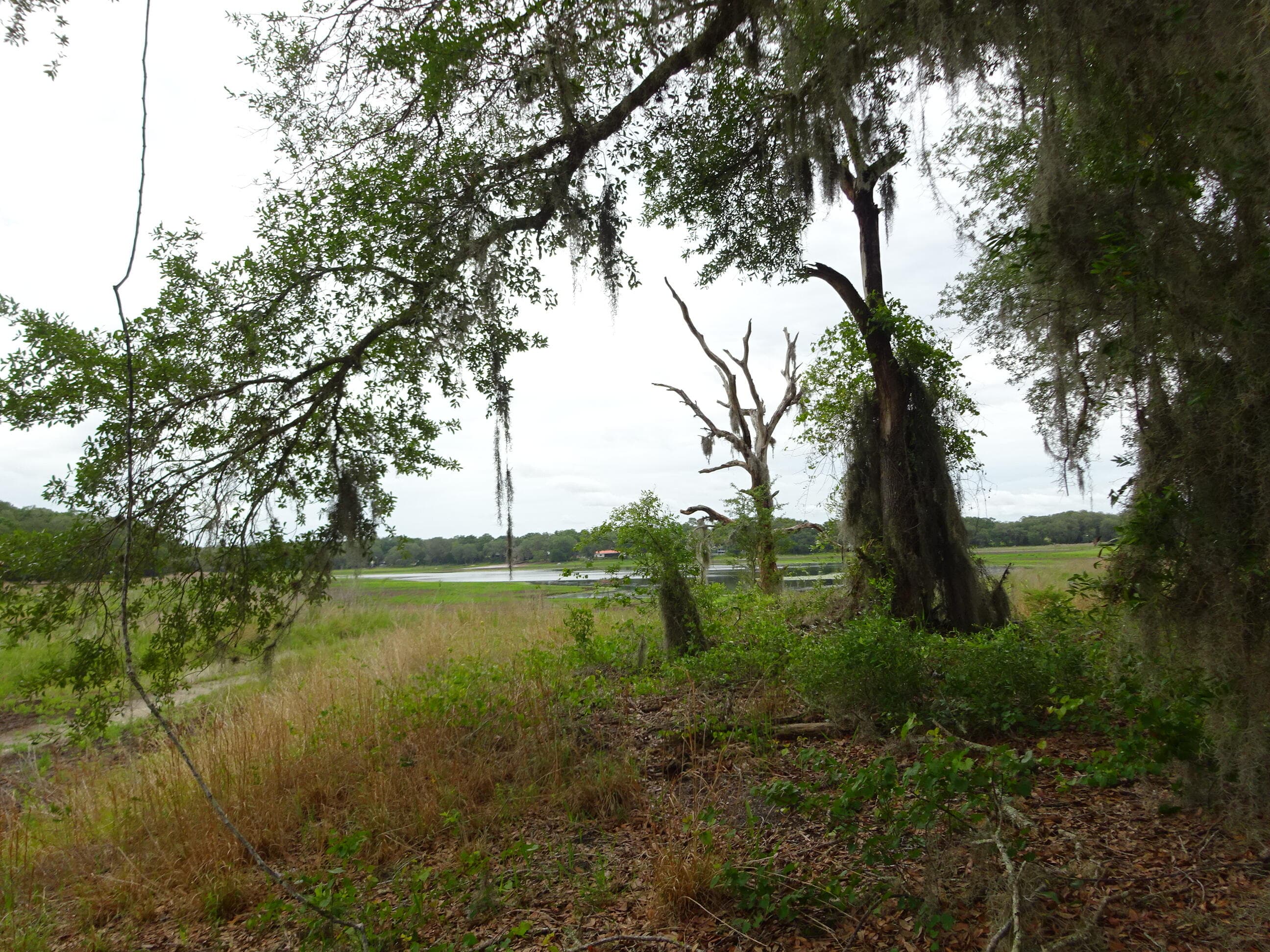 2208 SW Shorewood Drive, Dunnellon, FL 34431 — photo