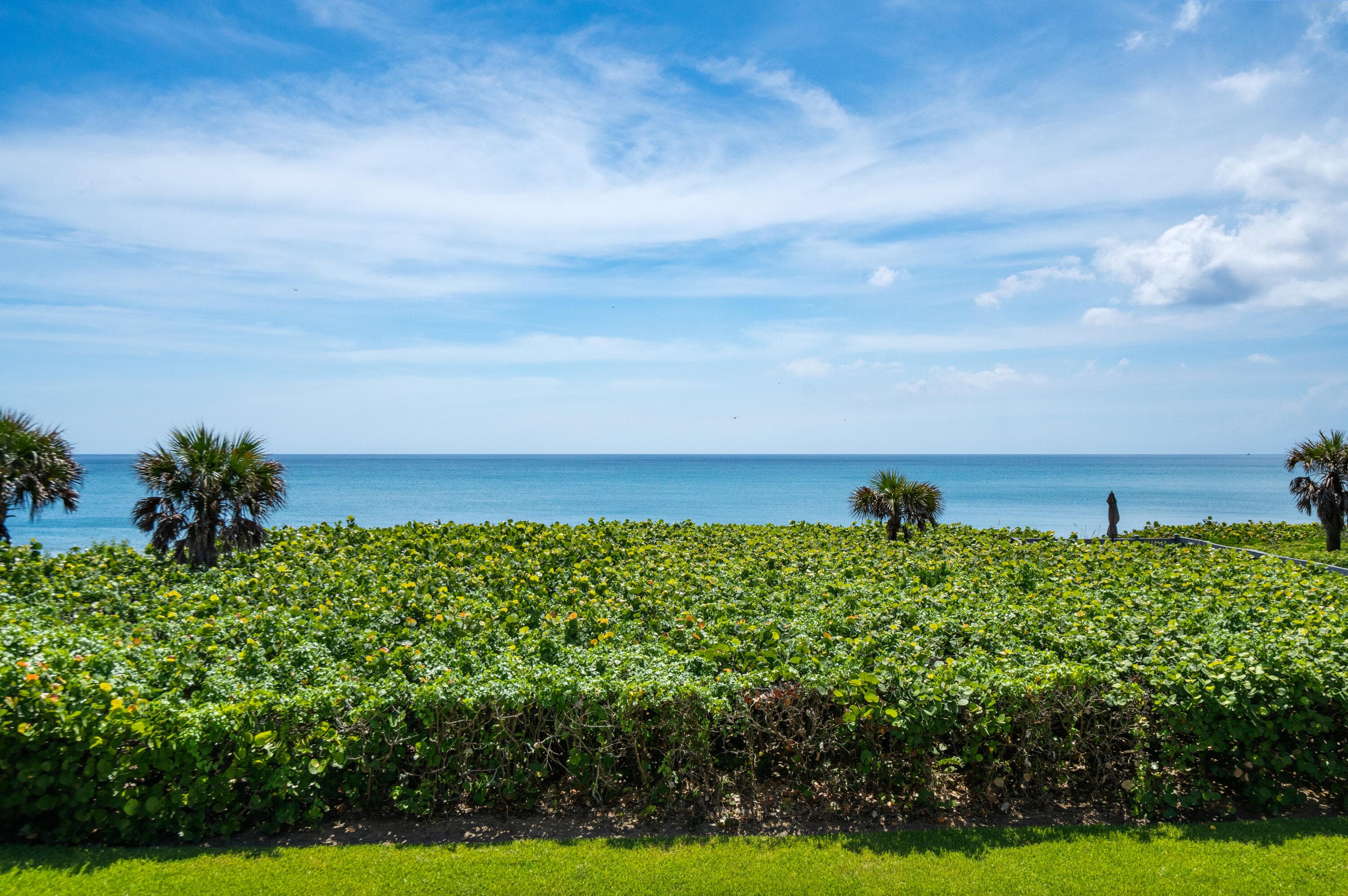 420 Celestial Way 205, Juno Beach, FL 33408 — photo 34 of 48